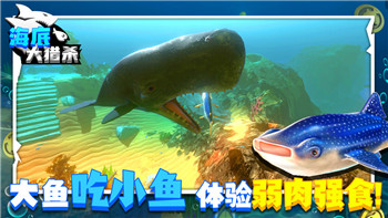 天命奇遇寻找能让人昏迷的东西有哪些？从神秘物品到未知力量揭秘