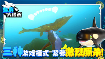 饥荒如何修改中文，提升游戏体验，玩转《饥荒》中的语言设置
